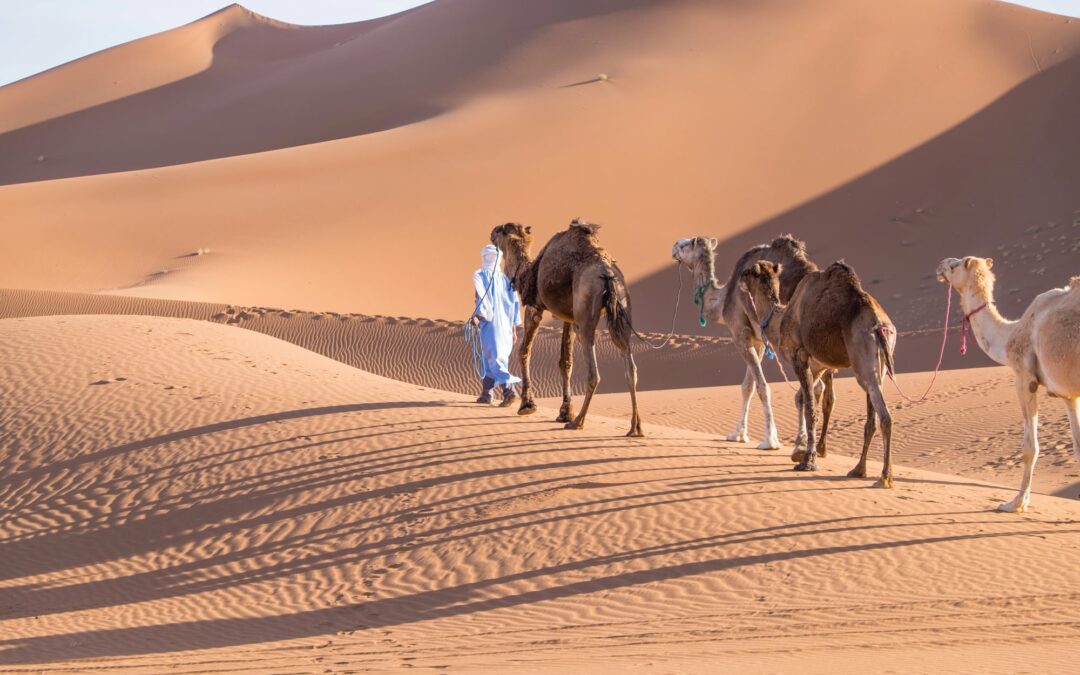 3 Days Sahara Tour from Ouarzazate to the Dunes of Erg Chigaga | Ultimate Desert Adventure