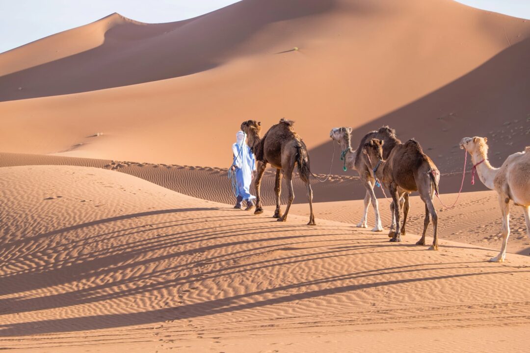 3 Days Sahara Tour from Ouarzazate to the Dunes of Erg Chigaga | Ultimate Desert Adventure