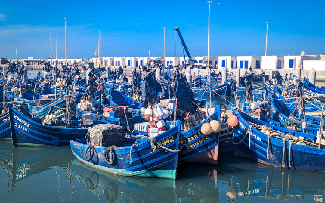 Private Day Trip to Essaouira from Marrakech | Atlantic Coast Escape
