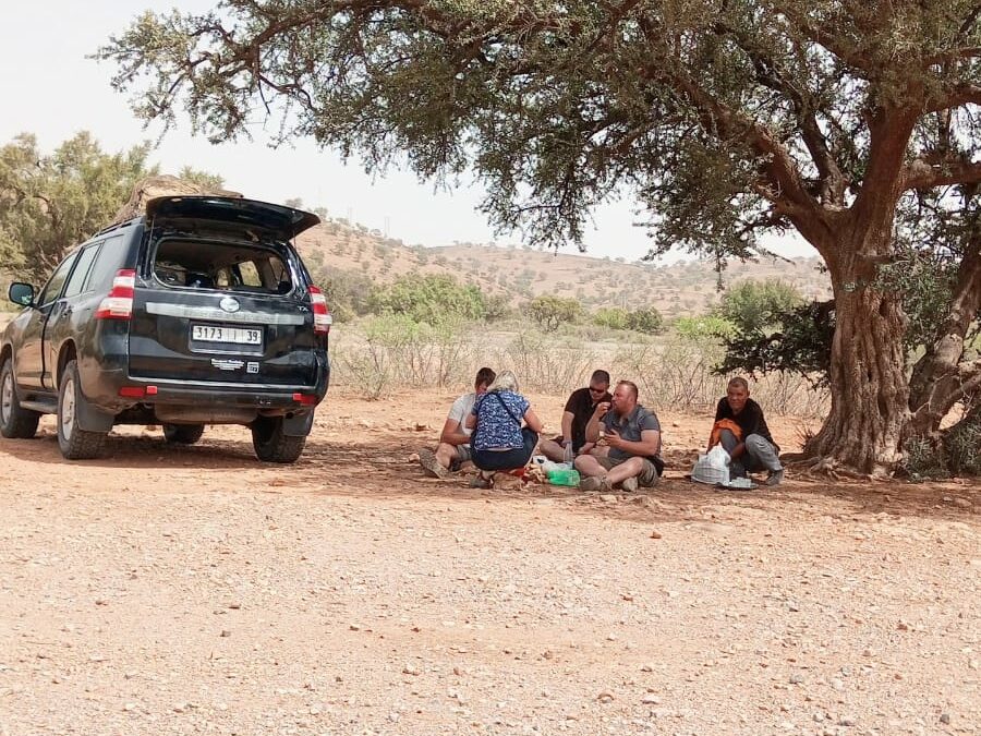10 Days Morocco Atlas, Sahara & Souss Birding Tour from Marrakech