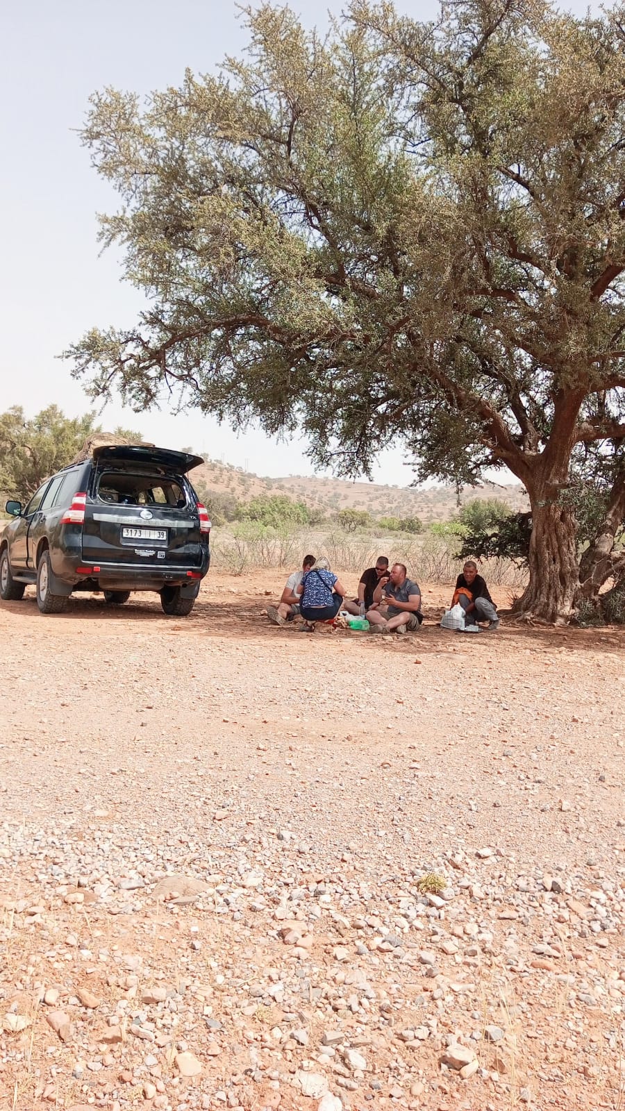 10 Days Morocco Atlas, Sahara & Souss Birding Tour from Marrakech