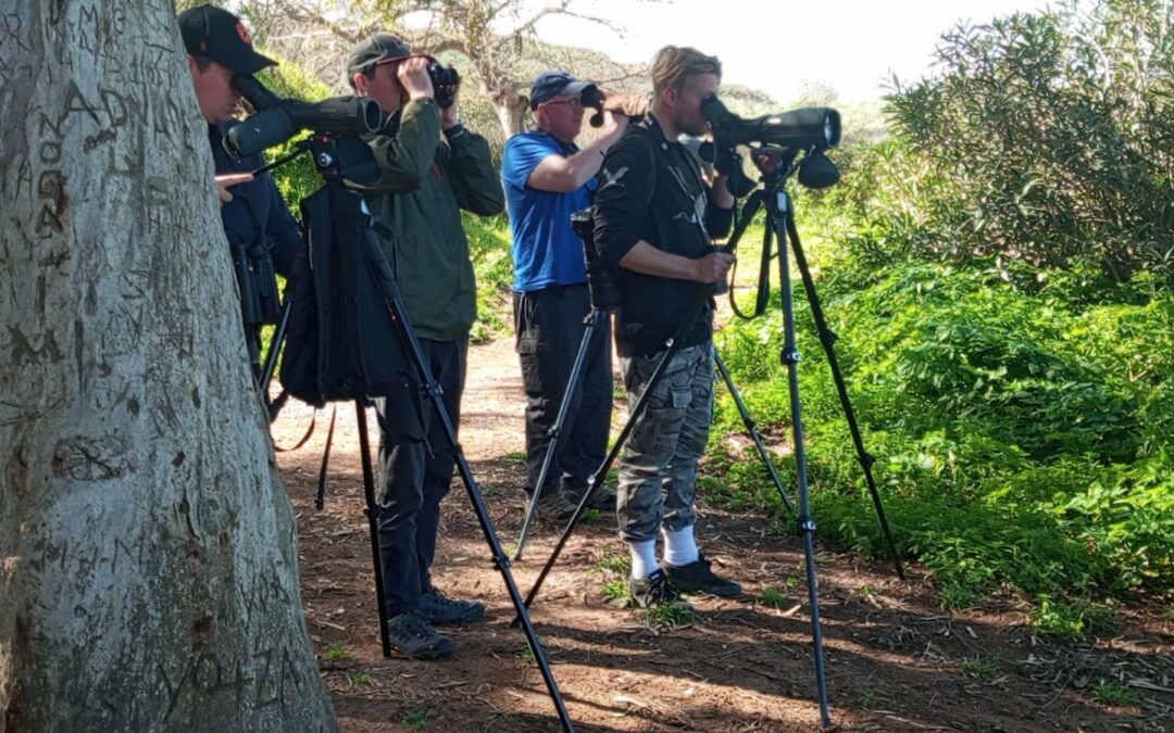 14 Days Morocco Birding Tour — Atlas, Sahara Edge & Souss Region (From Marrakech)