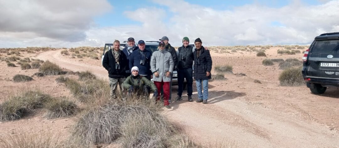 4 Days High Atlas Mountains Bird Watching Tour from Marrakech