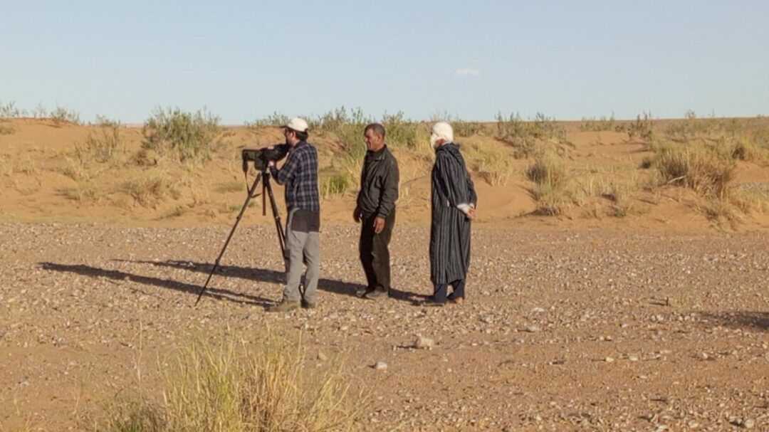 5 Days Morocco Atlas & Sahara Birding Tour from Marrakech