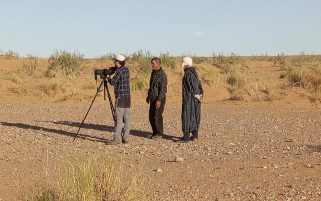 5 Days Morocco Atlas & Sahara Birding Tour from Marrakech