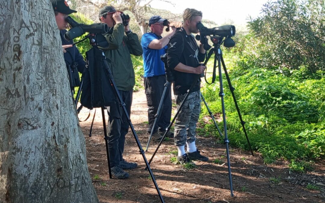 2 Days Merzouga Birding Tour – Sahara Desert Birdwatching Experience