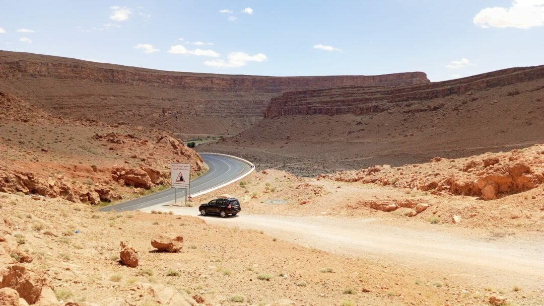 8 Days Morocco Atlas, Sahara & Middle Atlas Birding Tour from Marrakech