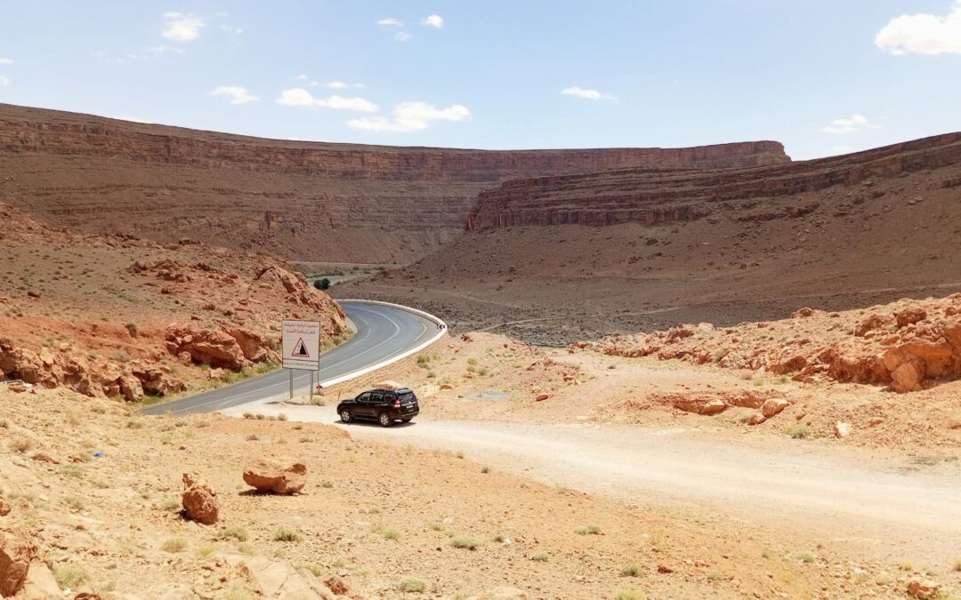 8 Days Morocco Atlas, Sahara & Middle Atlas Birding Tour from Marrakech