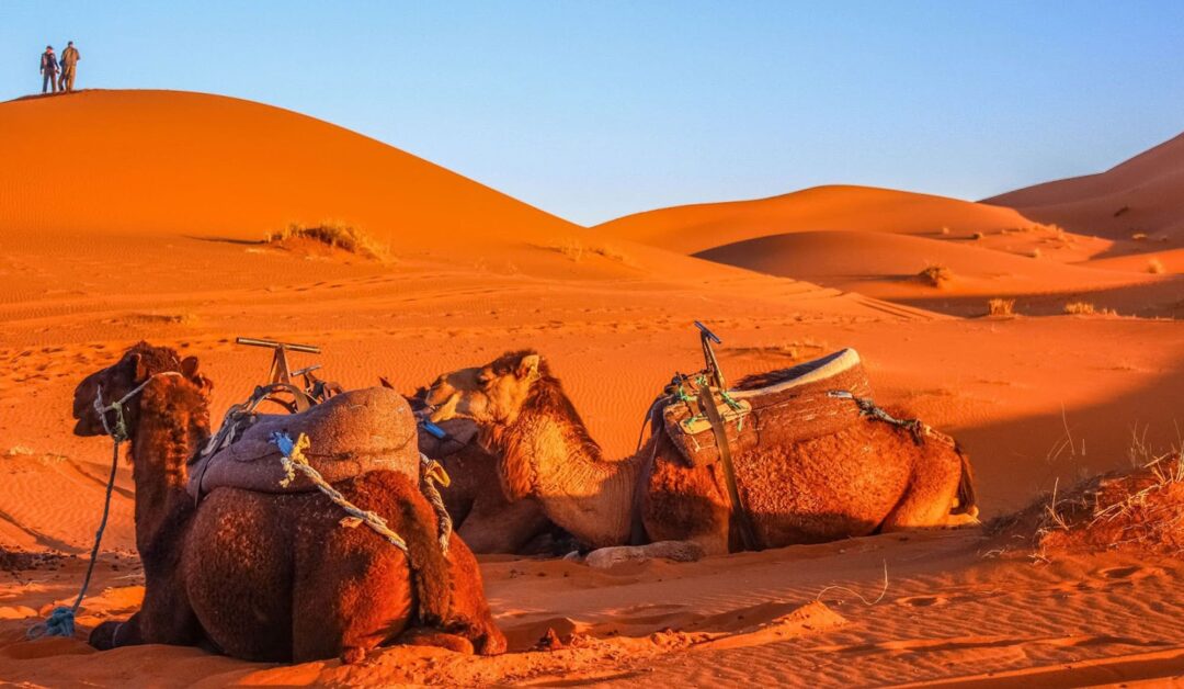 10 Day Morocco Trip from Tangier to the Desert and Marrakech | Private Sahara Desert Tour