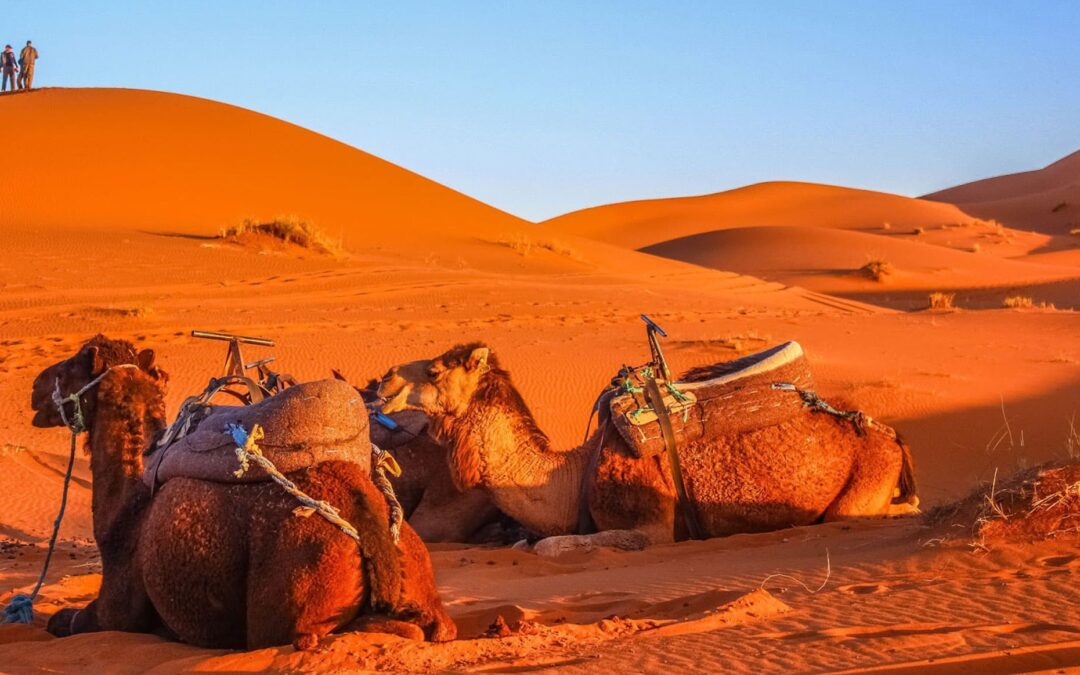 10 Day Morocco Trip from Tangier to the Desert and Marrakech | Private Sahara Desert Tour