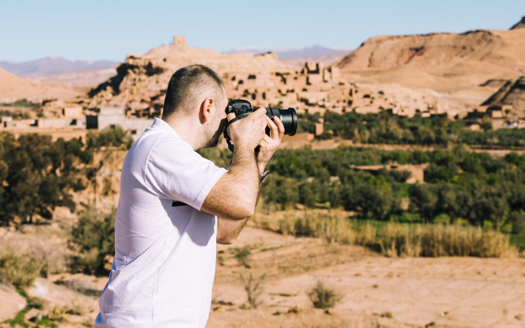 Morocco Birding Safari: What to Expect on Your Wild Bird Adventure